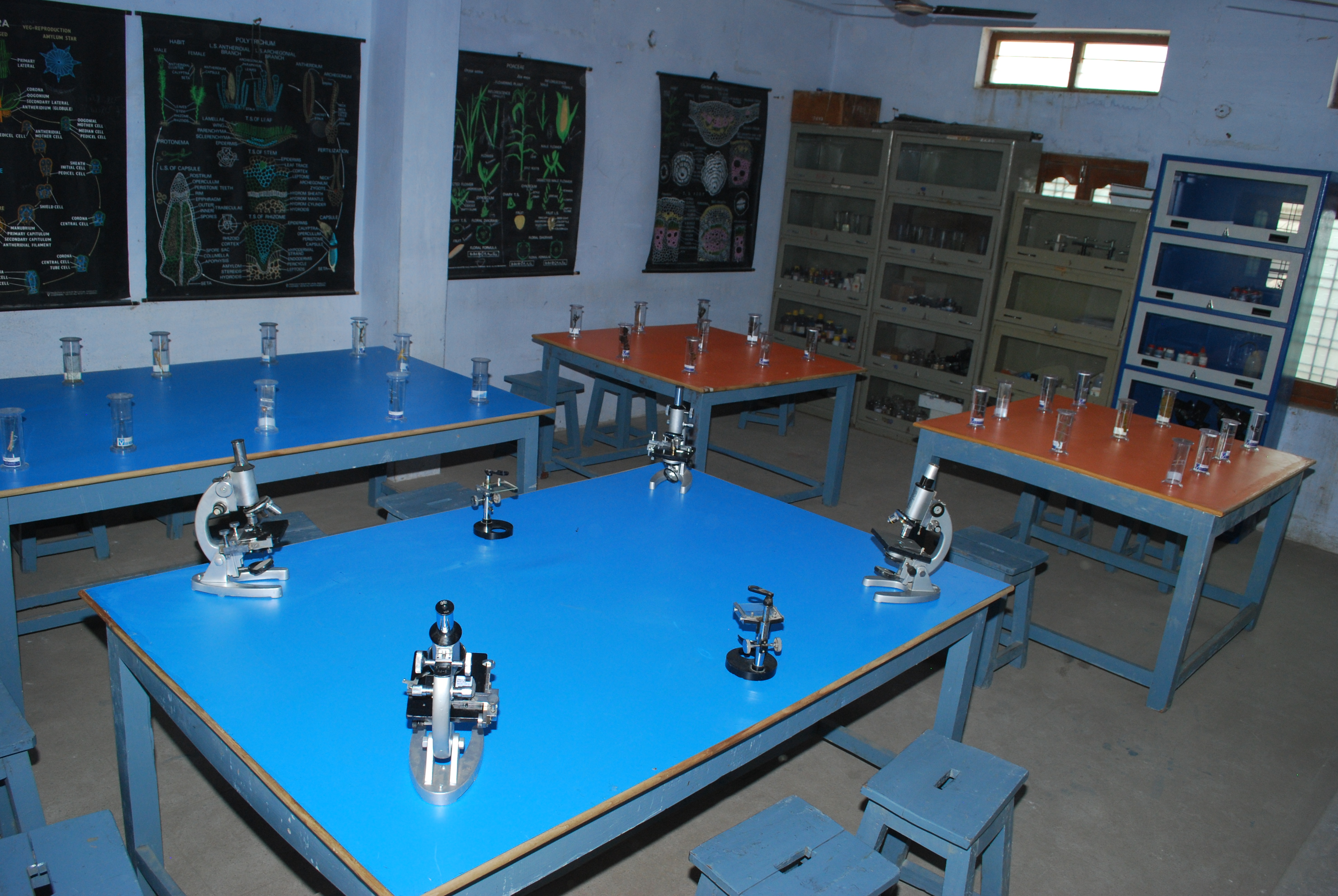 Education Background